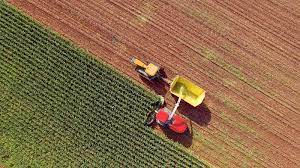 Agriculture | Agribusiness